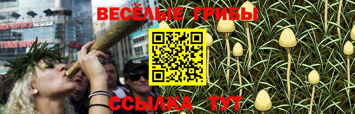 Галлюциногенные грибы Cubensis  Галлюциногенные грибы мухоморы  как найти наркотики  Солнечногорск  Вход с VPN 